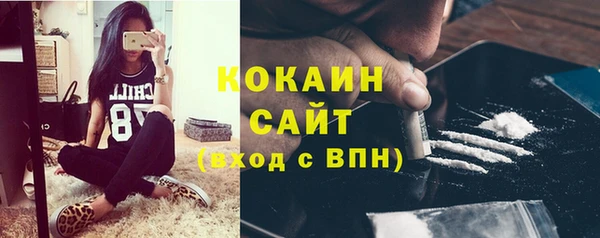 индика Беломорск