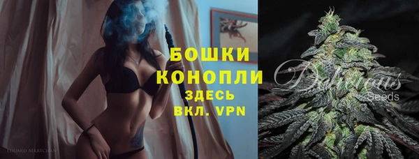 индика Беломорск