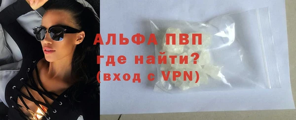 индика Беломорск