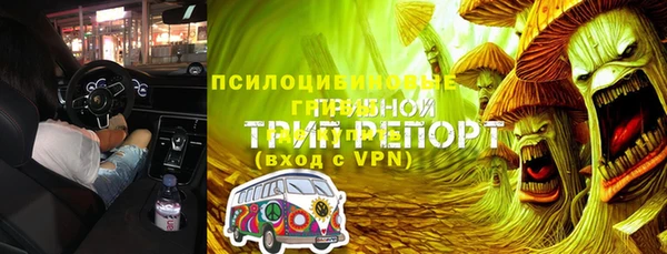 apvp Белокуриха