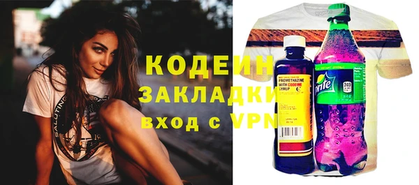 индика Беломорск