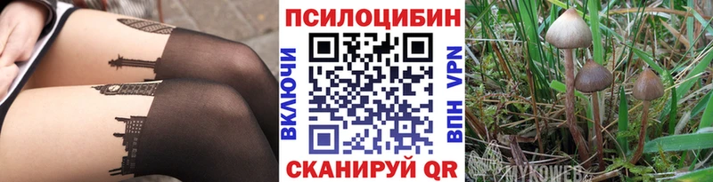 Галлюциногенные грибы Psilocybe  Вельск 